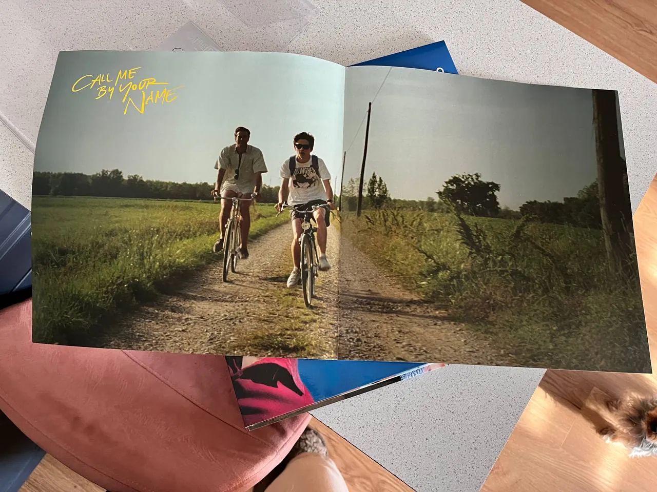 Виниловая пластинка OST Call Me By Your Name 6