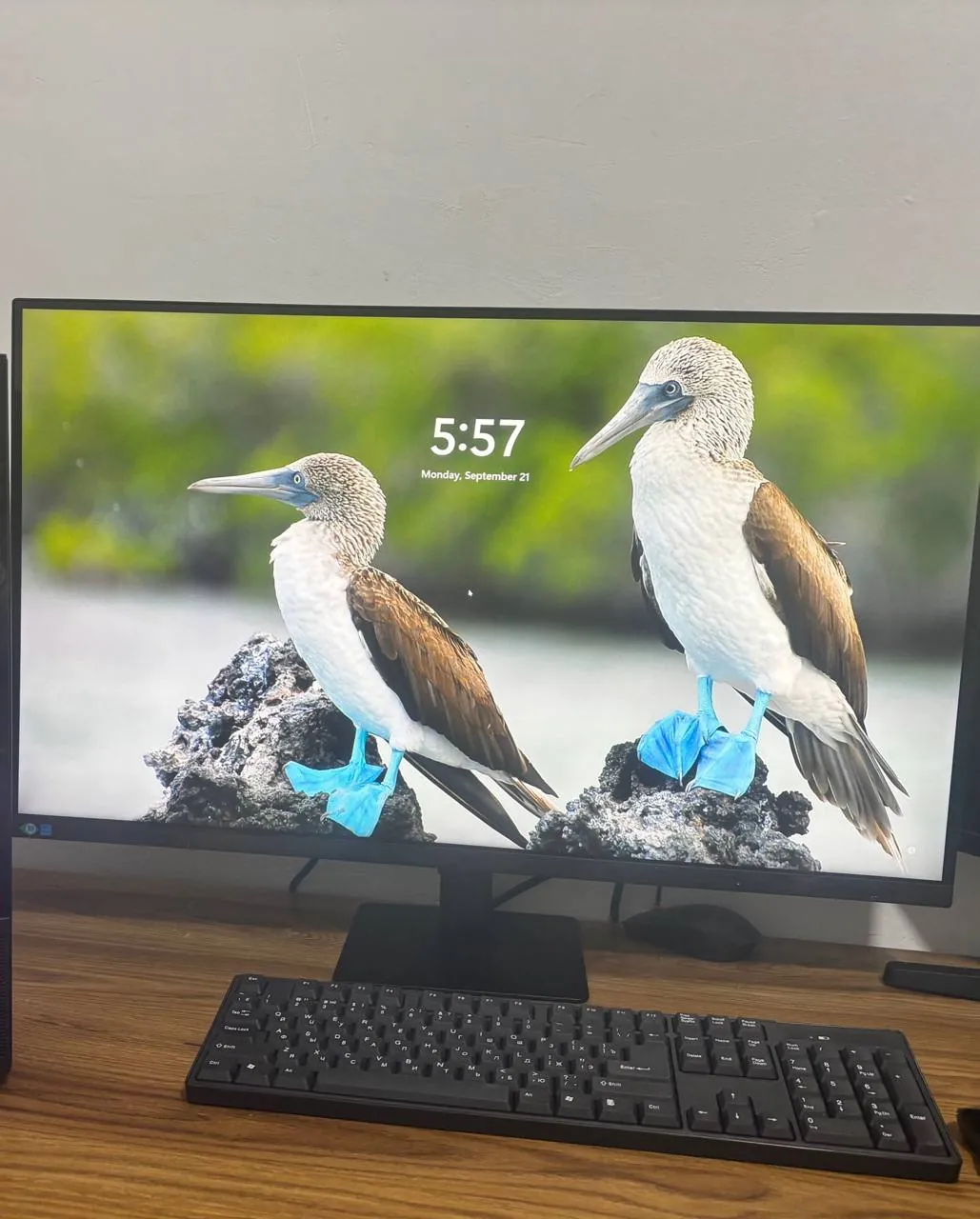 Монитор Samsung ViewFinity S7 32 дюйма 4K 1