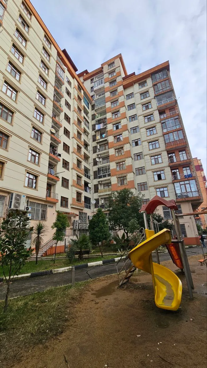 Миниатюра 1