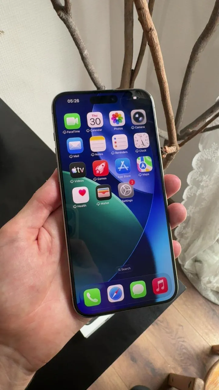 iPhone 15 Pro Max 256GB China 1