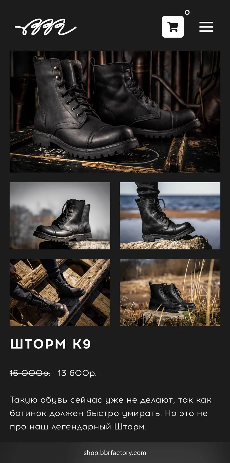 Тактические ботинки BBR Шторм K9, размер 43 1