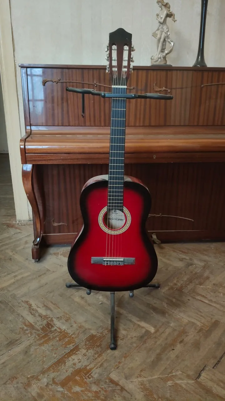 Классическая гитара Grape GP-C40-39-RDS 1