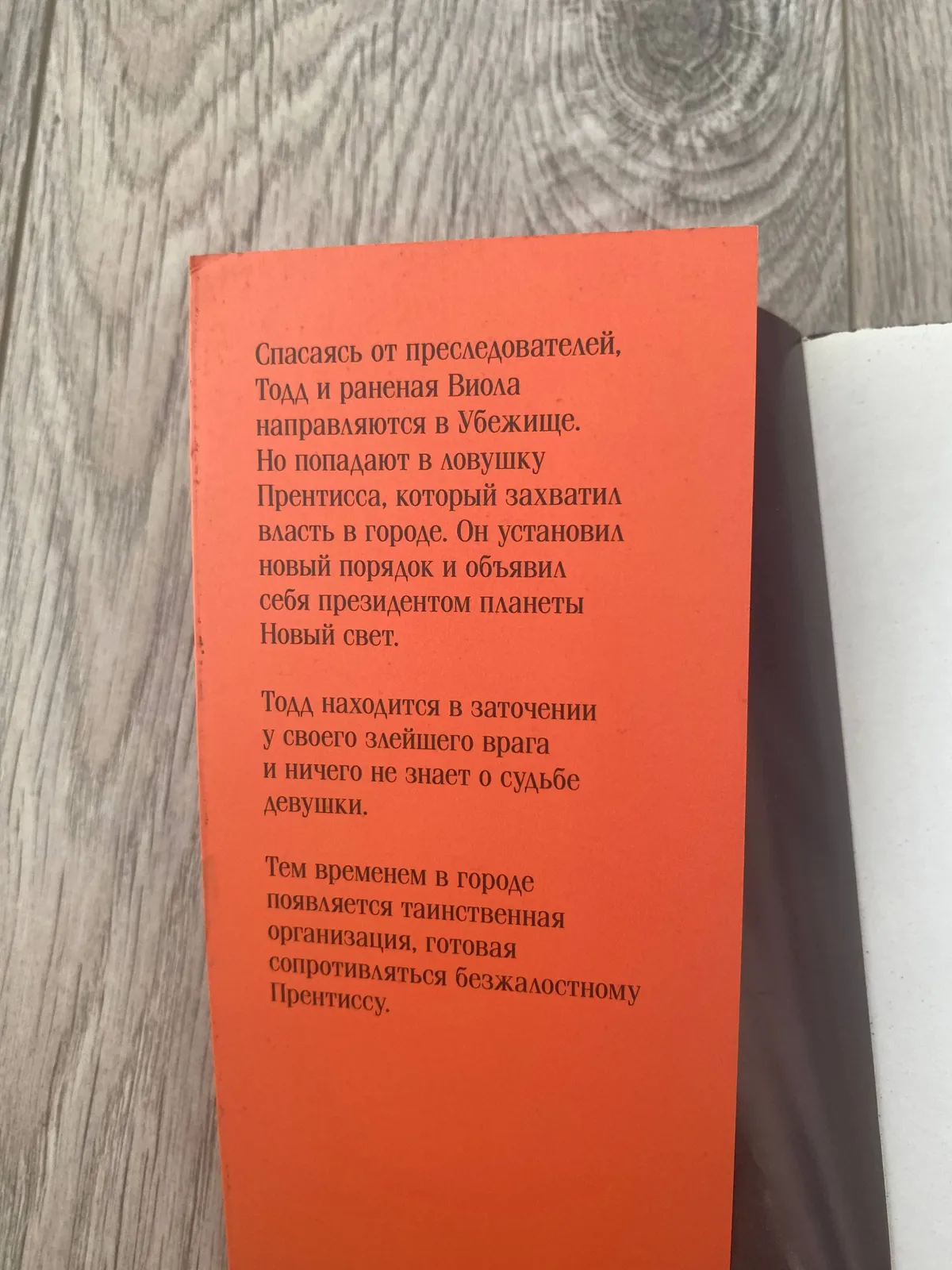 Миниатюра 4