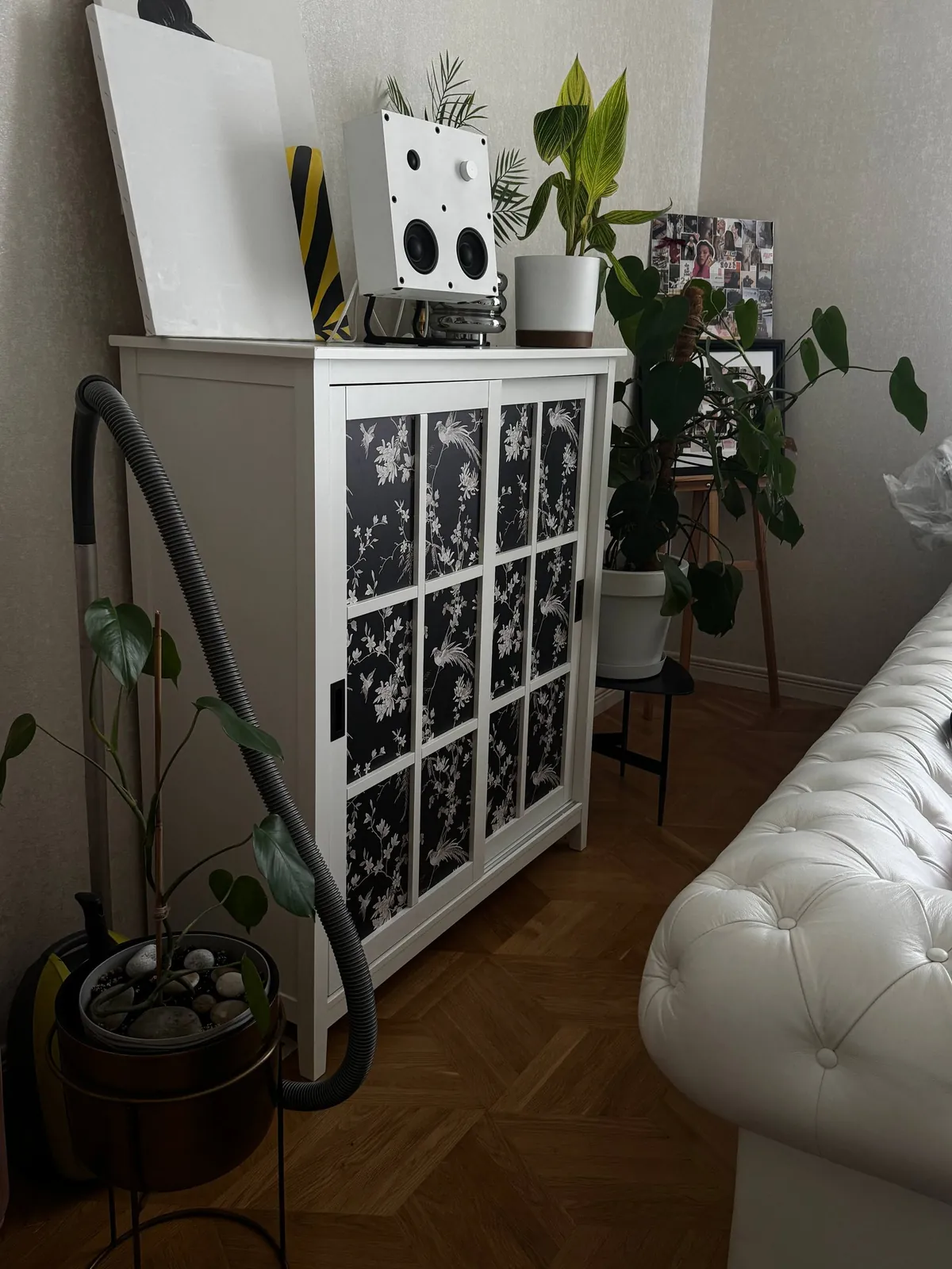 Мебель, декор, растение из квартиры 9
