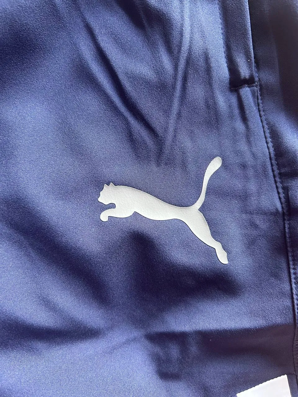 Брюки Puma teamLIGA спортивные 4