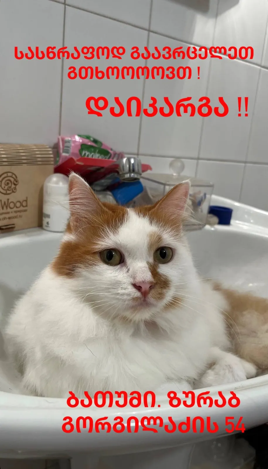 Миниатюра 3