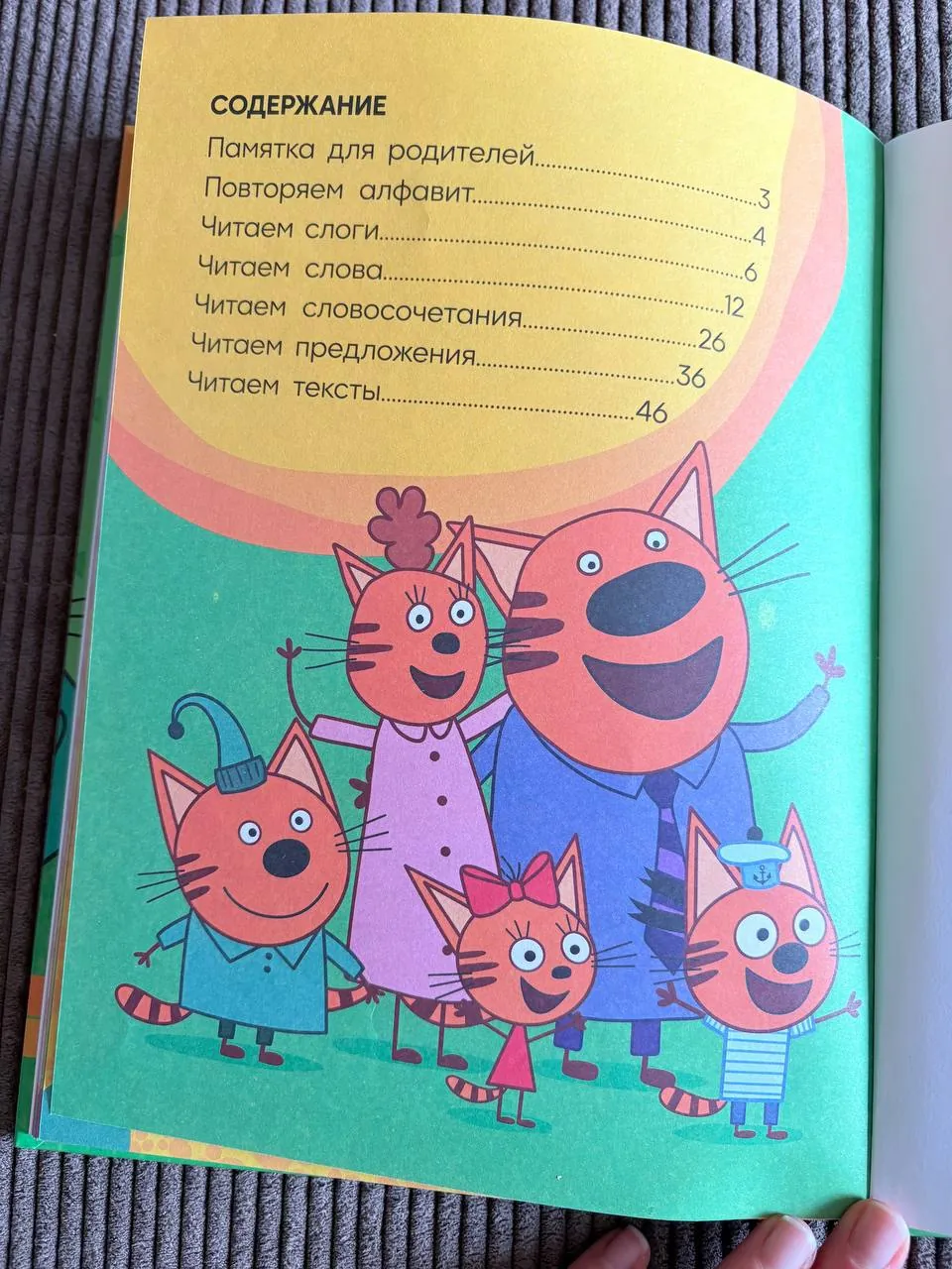 Миниатюра 8