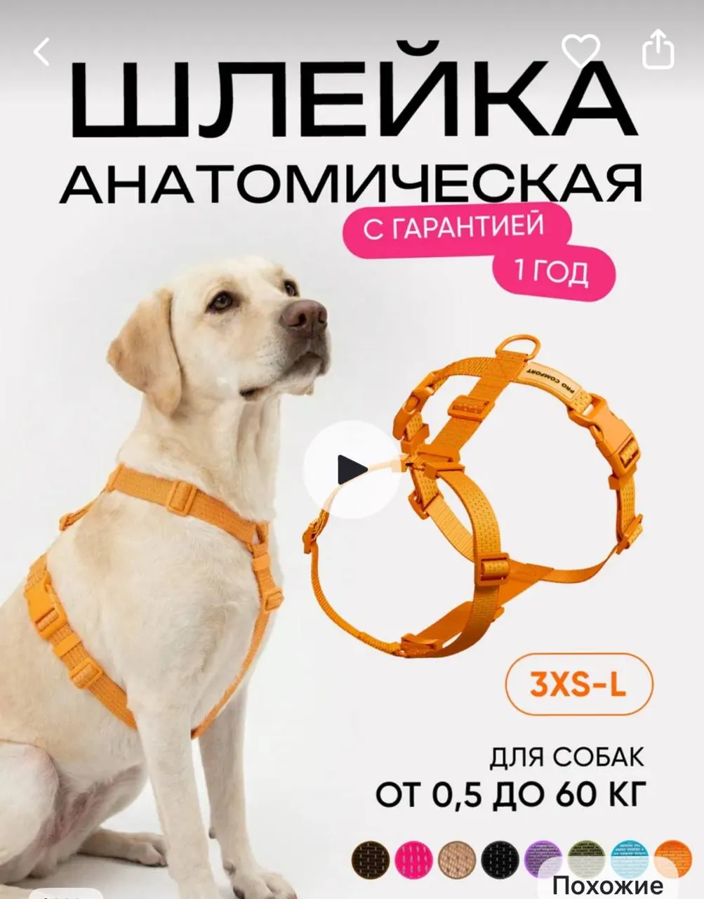 Миниатюра 3