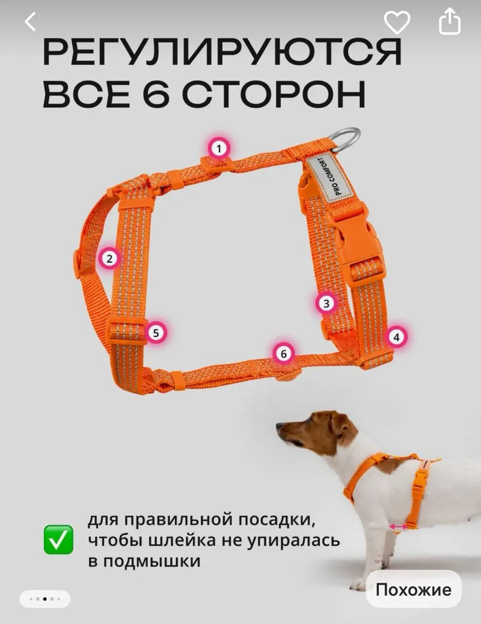 Миниатюра 4
