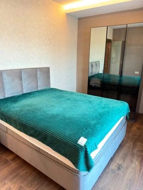 Миниатюра 6