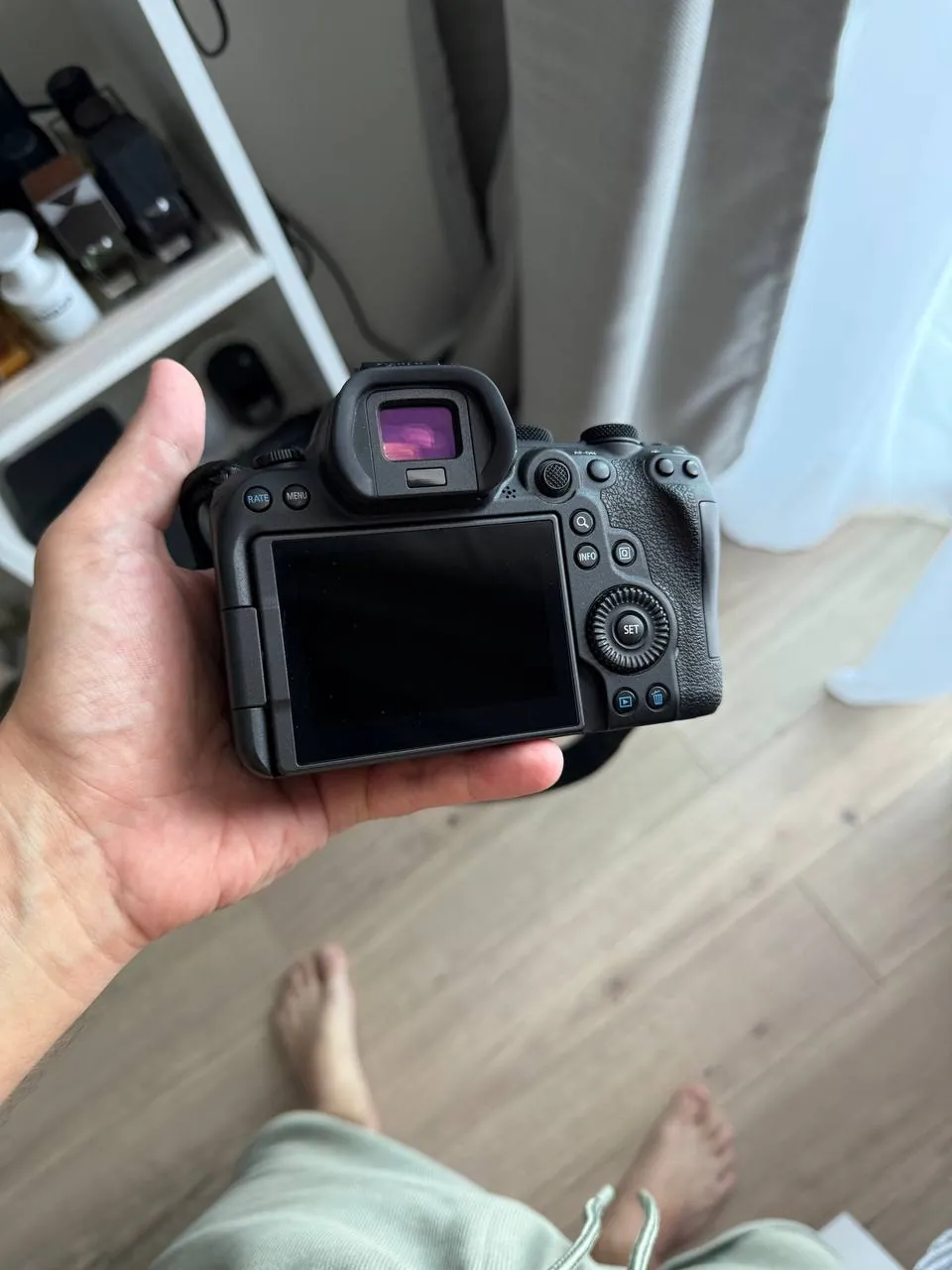 Canon R6 Mark II с объективом RF 24-105 2