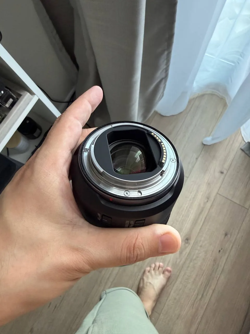 Canon R6 Mark II с объективом RF 24-105 5