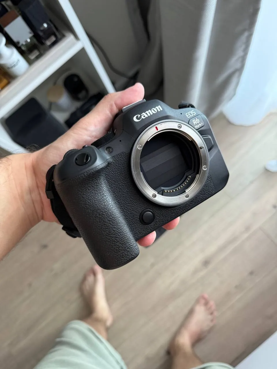 Canon R6 Mark II с объективом RF 24-105 1