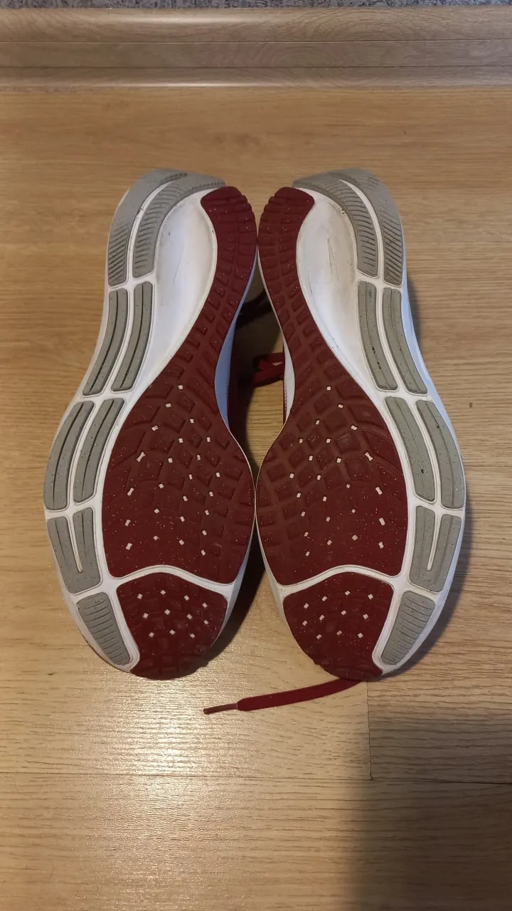 Кроссовки Nike Pegasus Alabama коллаб 5
