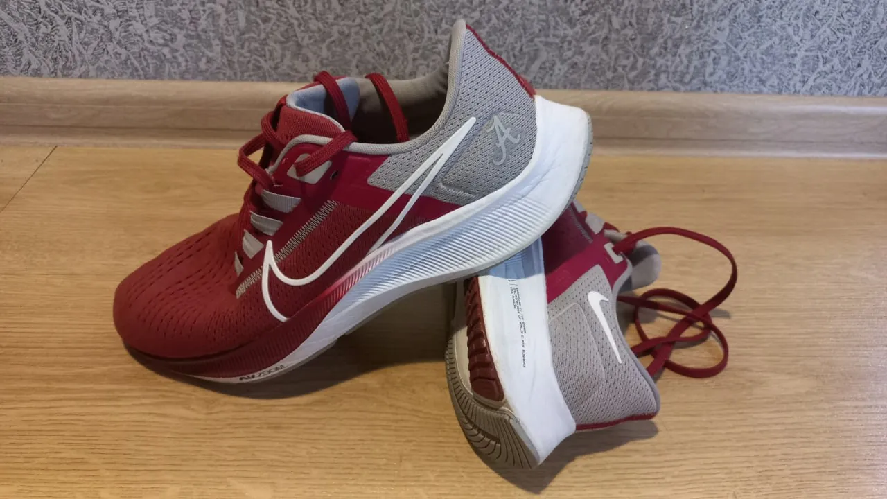 Кроссовки Nike Pegasus Alabama коллаб 3