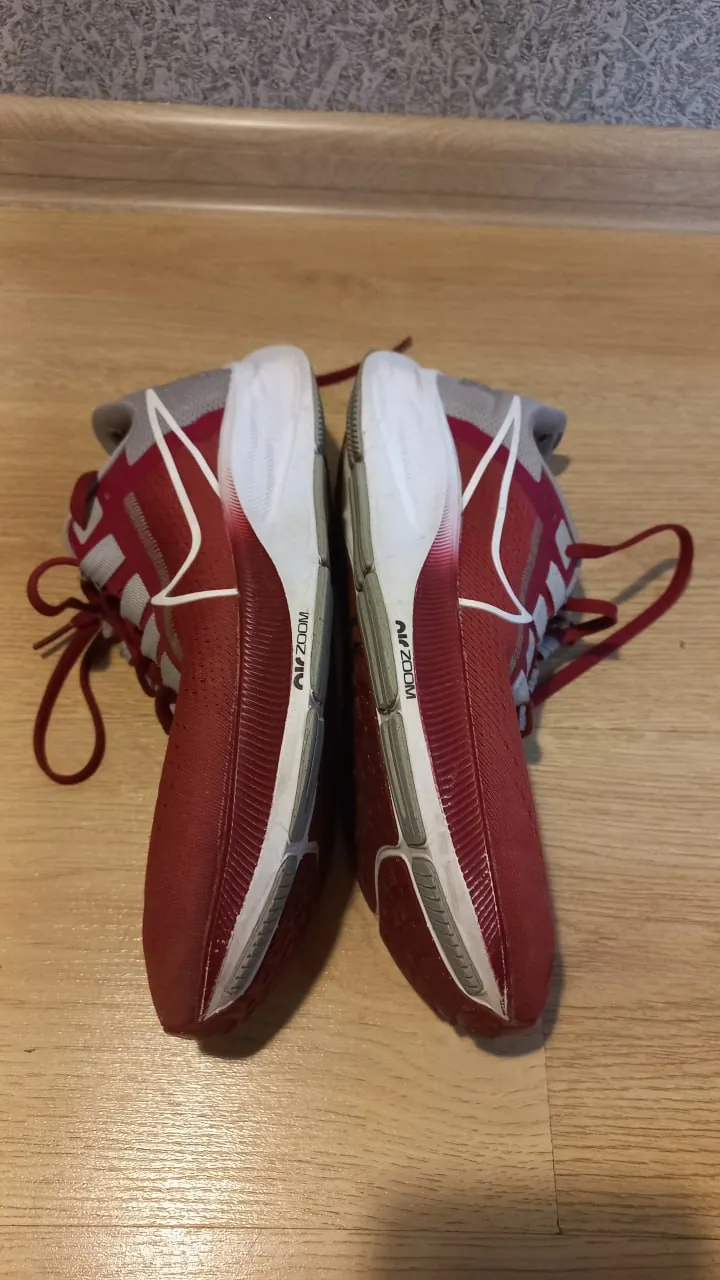 Кроссовки Nike Pegasus Alabama коллаб 4