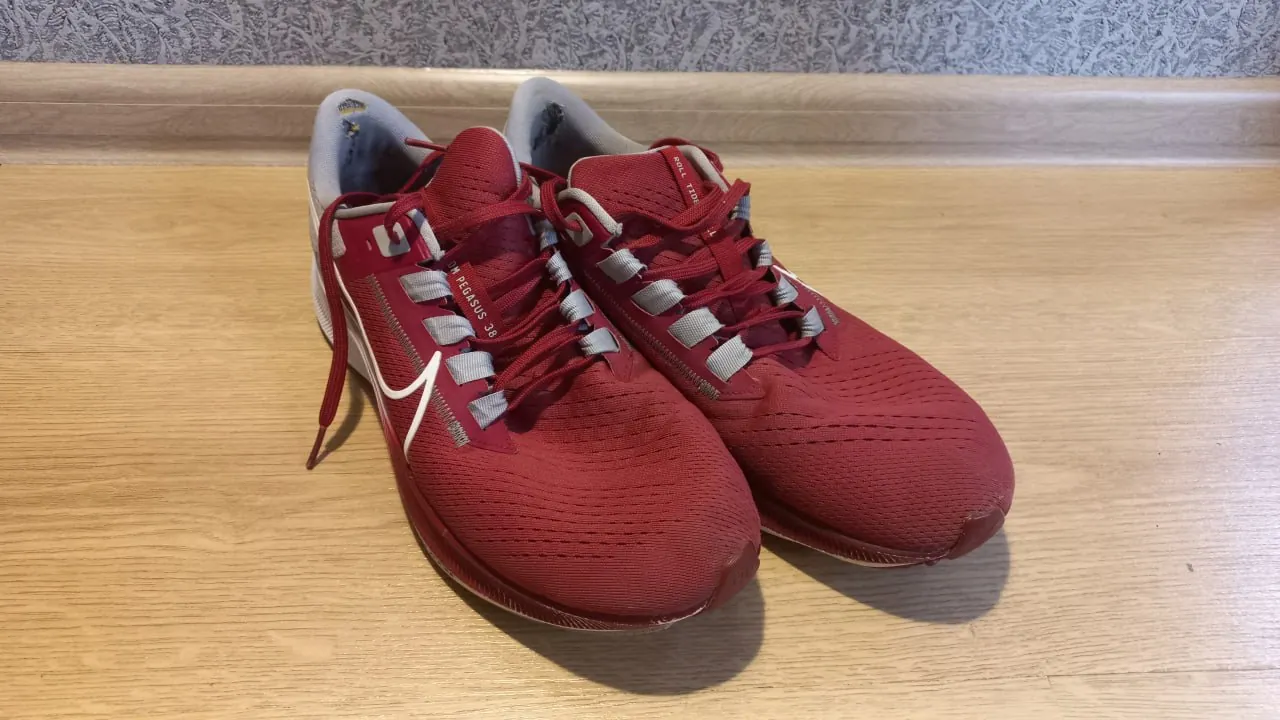 Кроссовки Nike Pegasus Alabama коллаб 2
