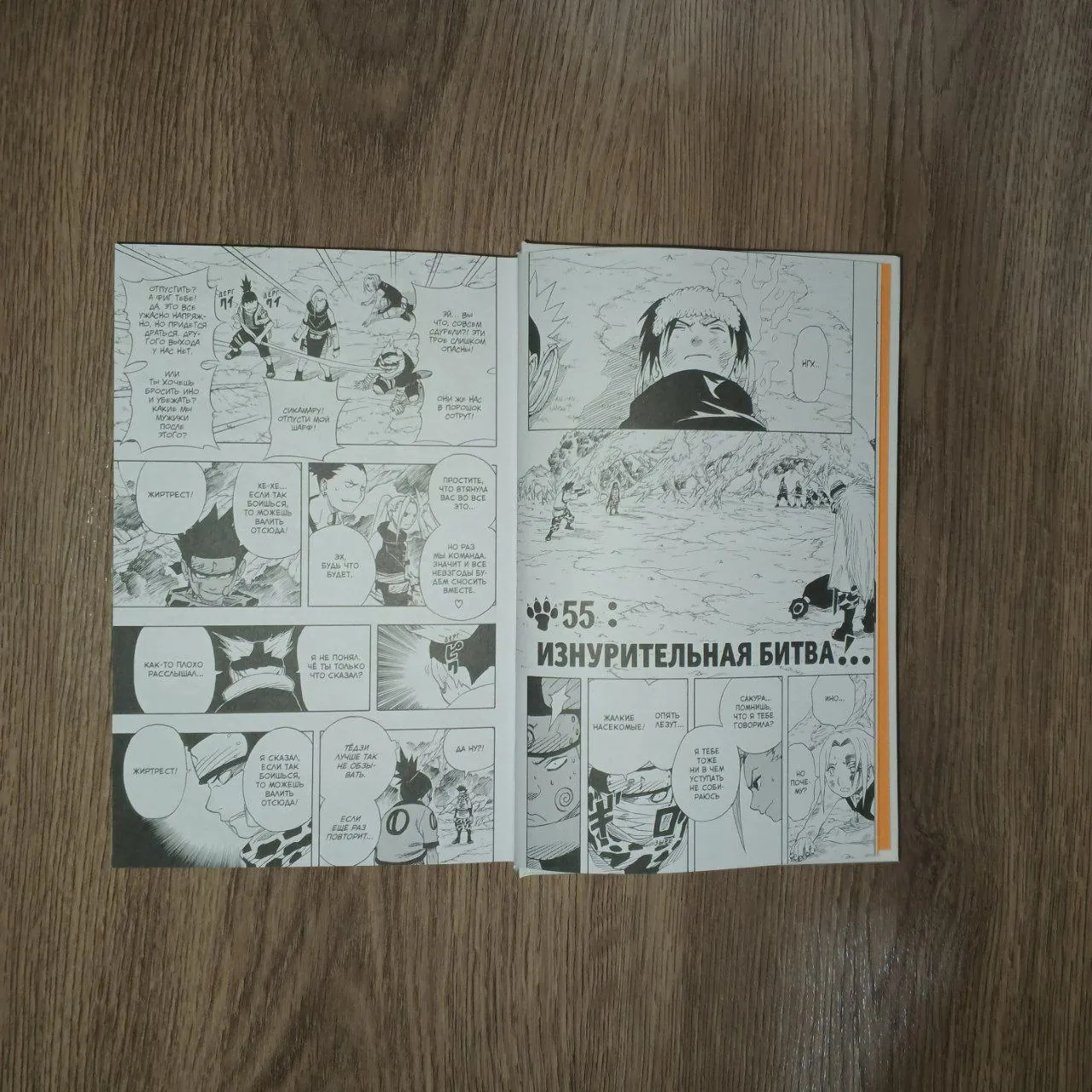 Миниатюра 6