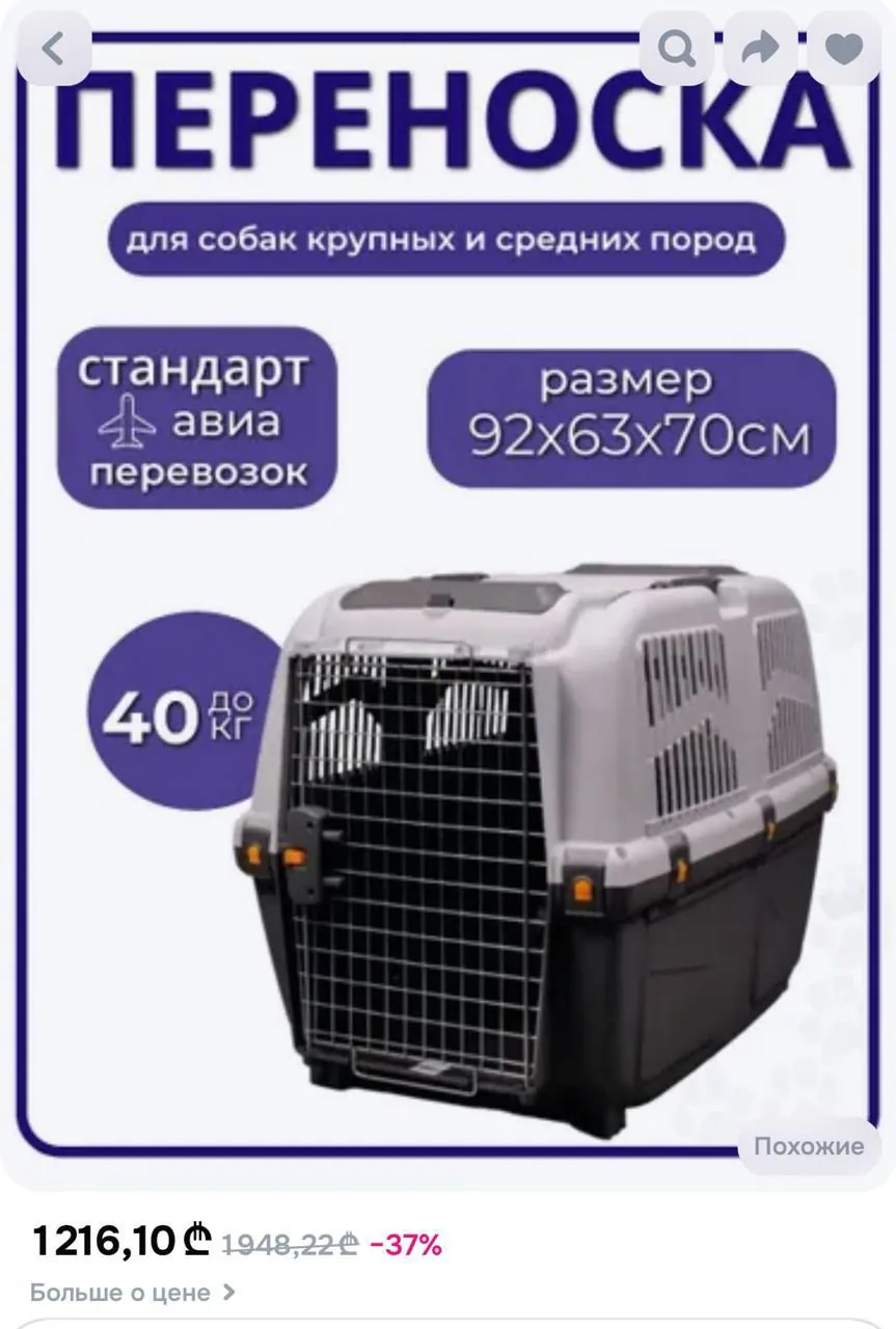 Переноска для собаки для перелётов 5