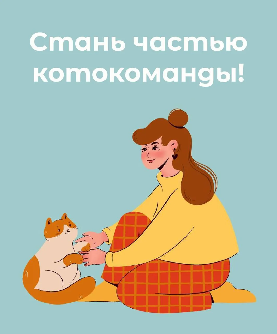 Волонтёры для приюта кошек Батуми 1
