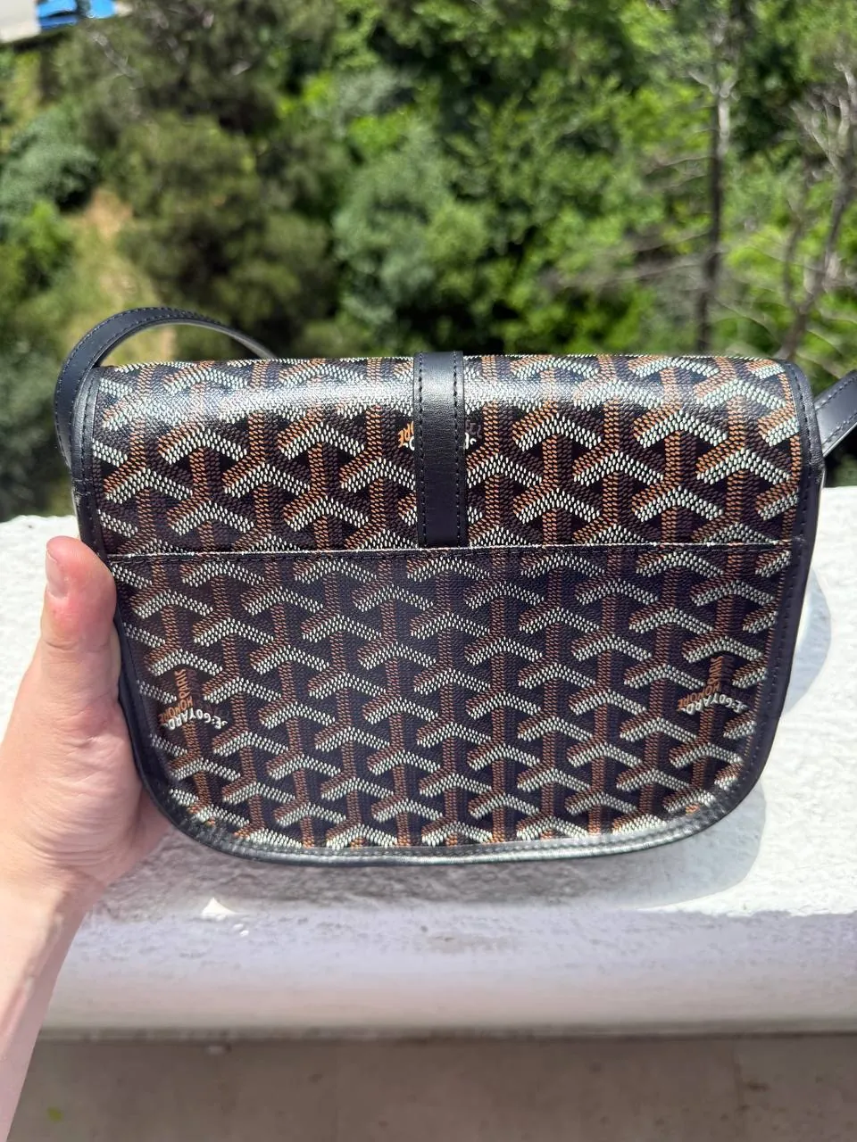 Рюкзак Louis Vuitton и сумка Goyard 4