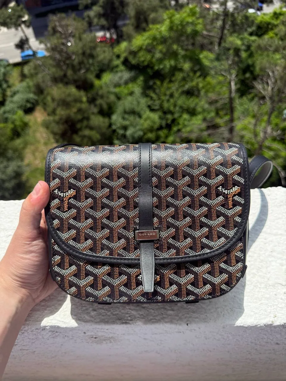 Рюкзак Louis Vuitton и сумка Goyard 3