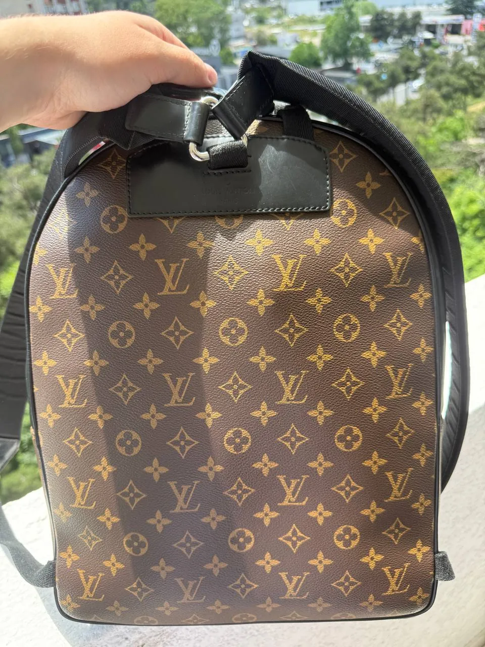Рюкзак Louis Vuitton и сумка Goyard 2