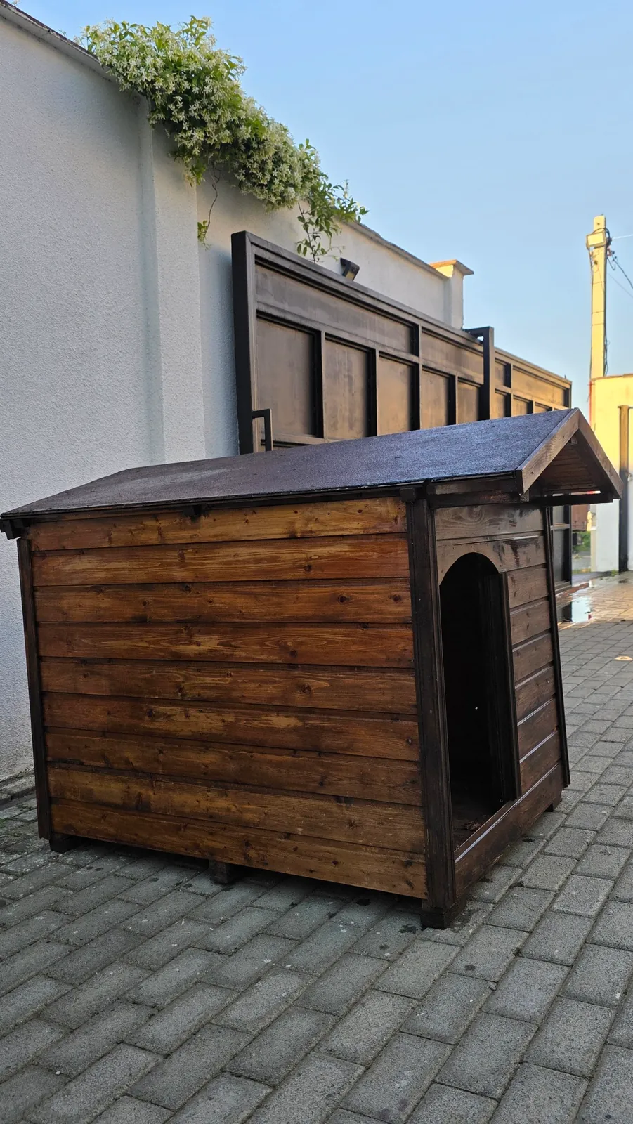 Миниатюра 3