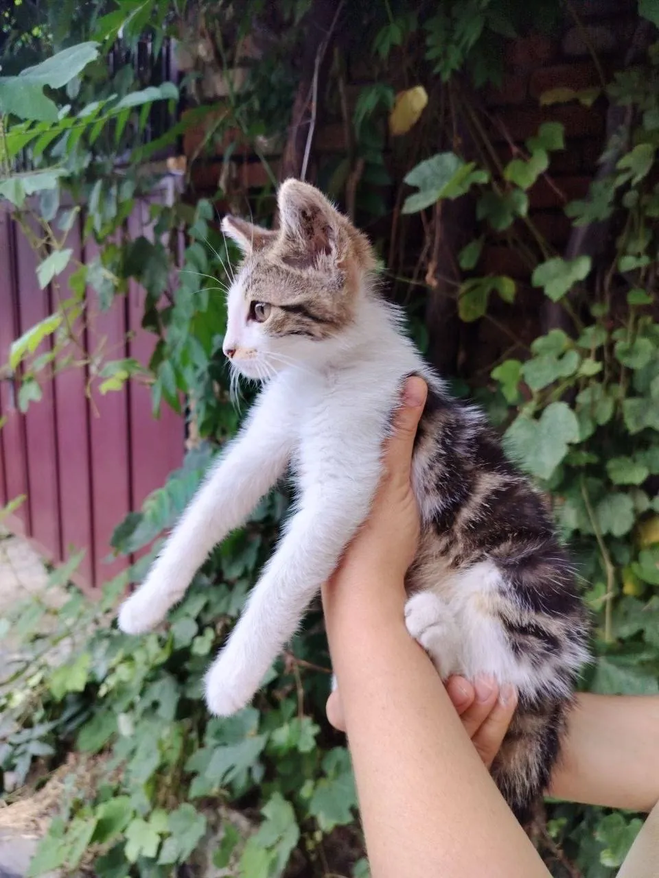 Миниатюра 4