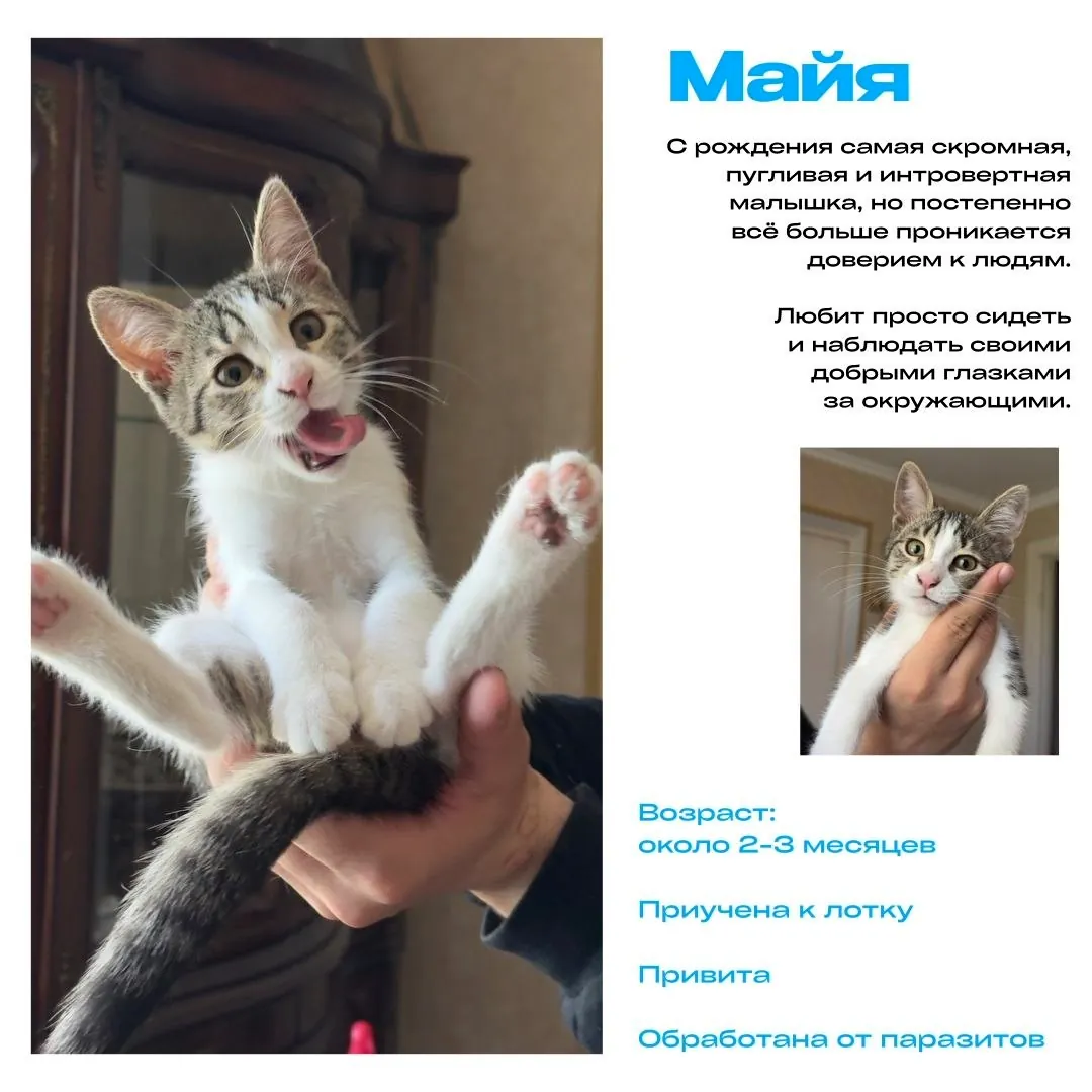Миниатюра 3