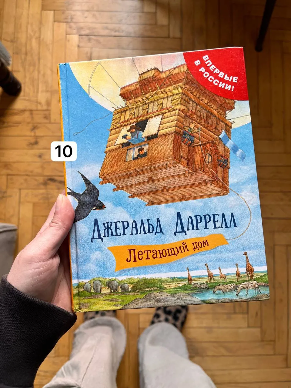 Миниатюра 2