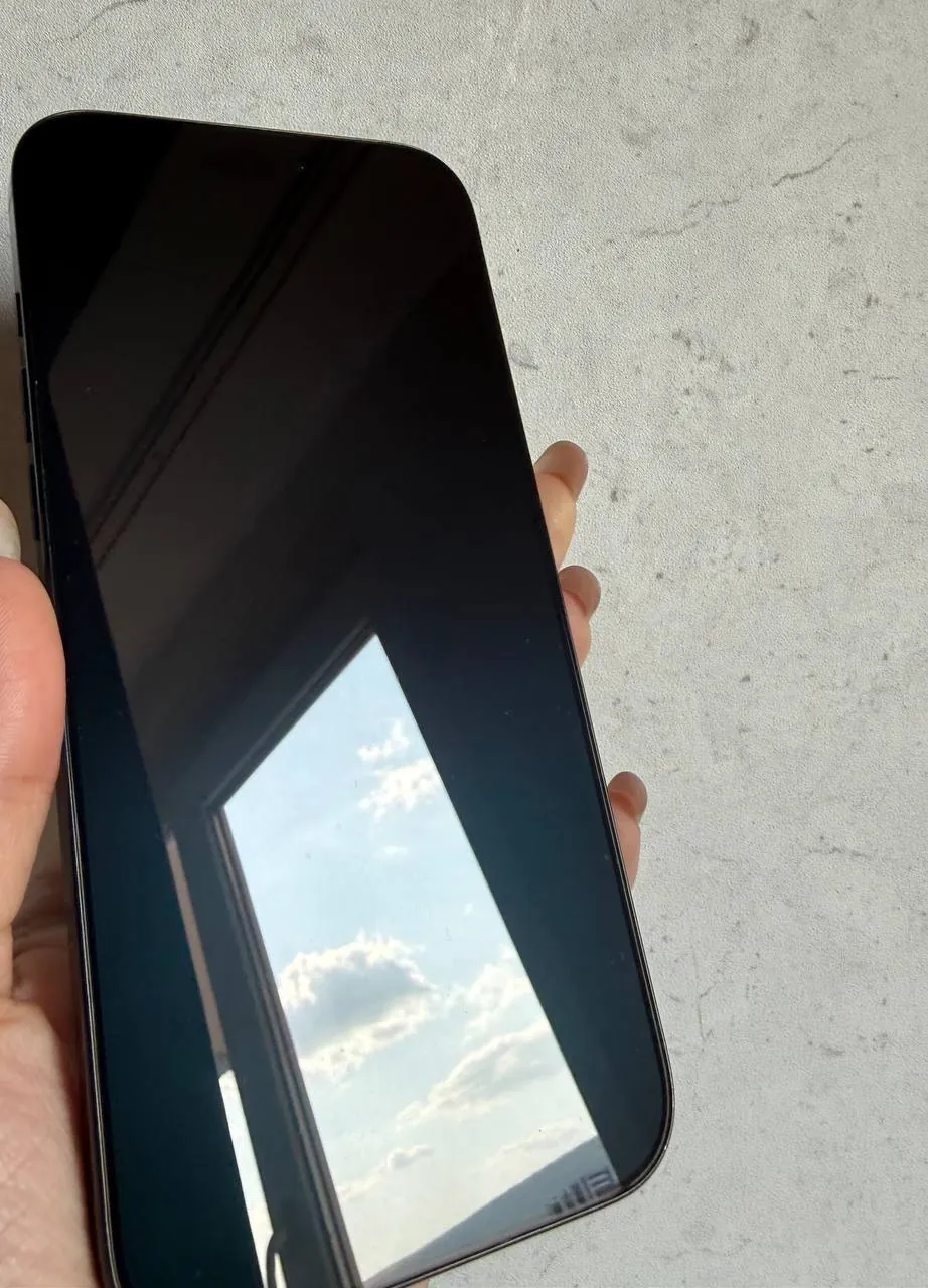 iPhone 16 Pro Max 256GB чёрный 2