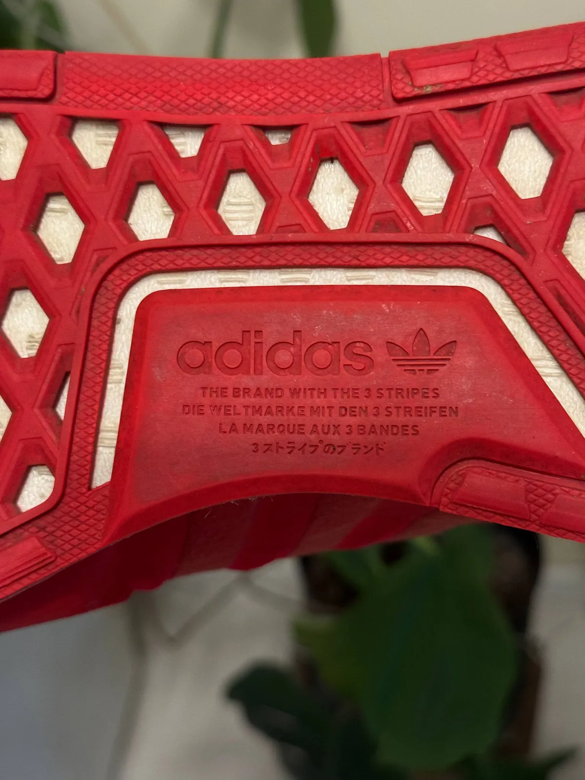 Кроссовки Adidas NMD_R1 V3 4