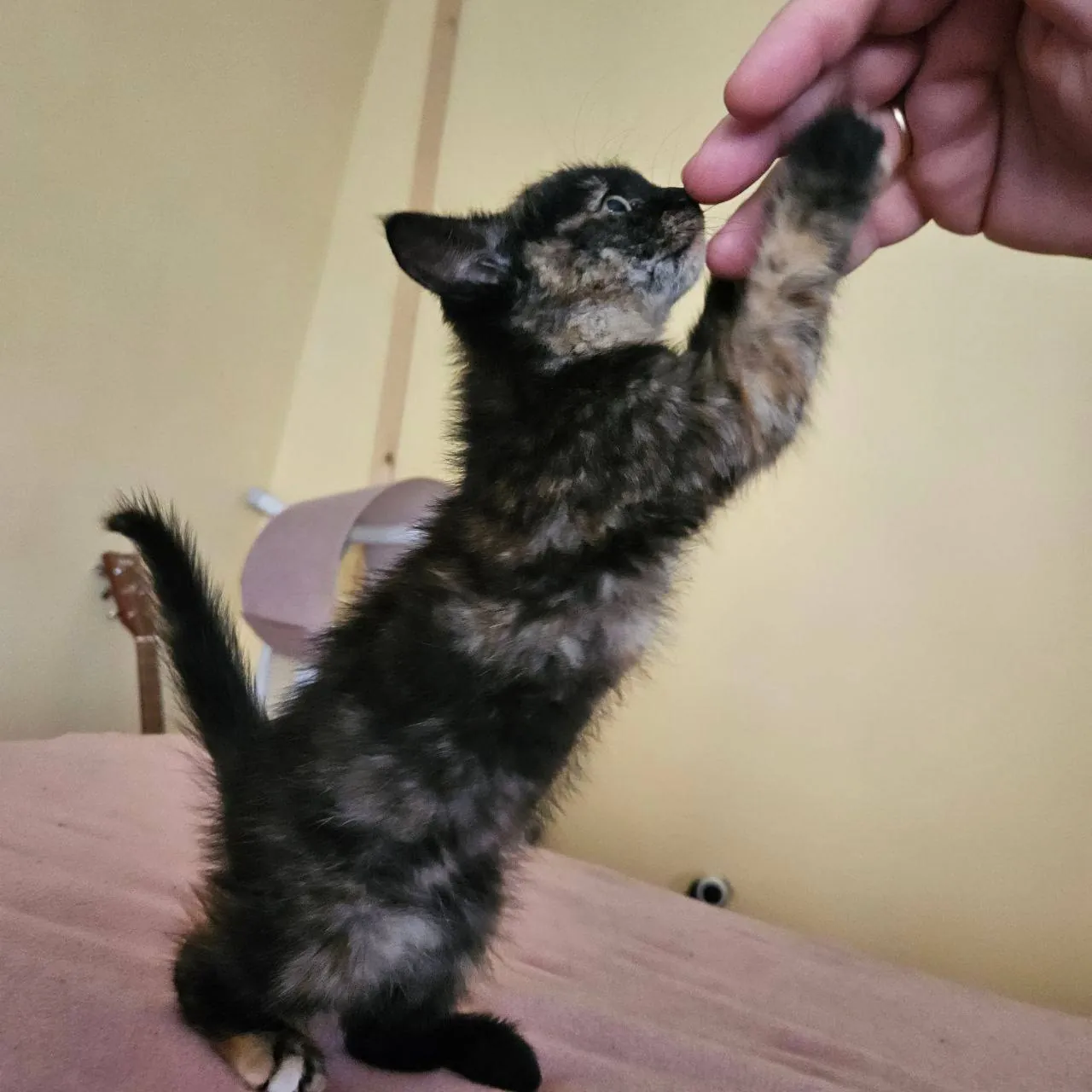 Миниатюра 4